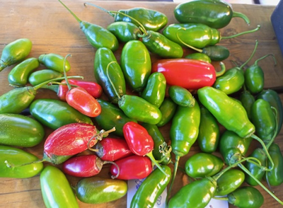 Перец острый Rocoto montufar