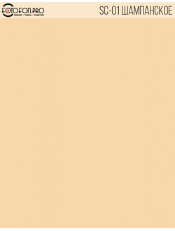 Фотофон виниловый «Шампанское»