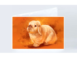 Обложки на зачётную книжку год Кролика