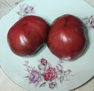 Семена томата Шарбоньер дю Берри