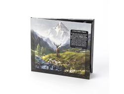 Caligula’s Horse - Rise Radiant CD Digi