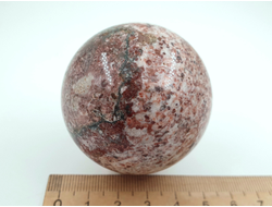 Шар Криноид, Россия, Урал (50 мм, 177 г) №28104