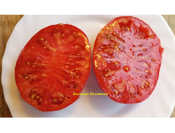 Томат Большая болотная (Grosse des Marais)