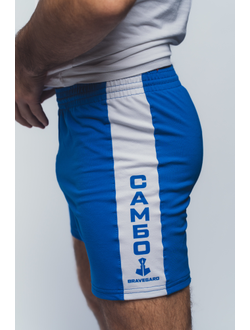 Шорты для самбо ВФС BRAVEGARD Победа синие