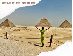 CAIRO BY BUS, PROGRAM STANDARD