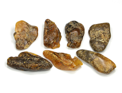 Янтарь в ассортименте, необработанный "дикий" образец, Россия, Калининградская область (23-30 мм, 1,6-1,8 г) №26762