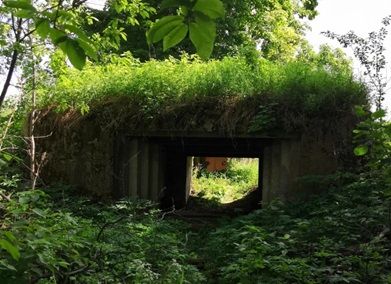 Дот ВОВ | Ферма СытникЪ