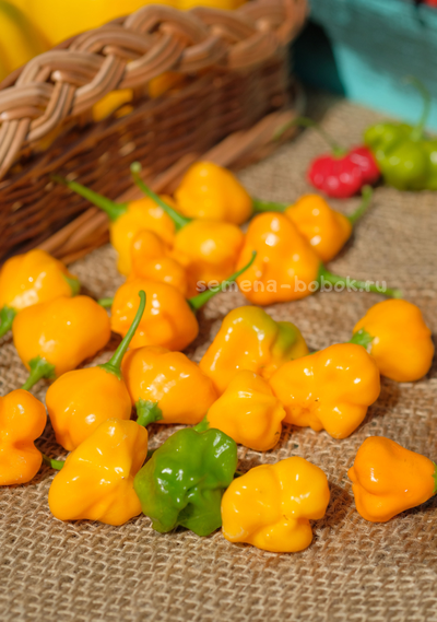 Перец острый Dulce Sol (Дольче Сол), 10 шт