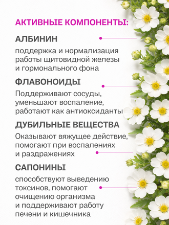 Экстракт лапчатки белой для внутреннего применения 100 гр.