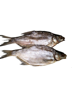 Лещ Цимлянский КРУПНЫЙ