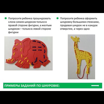 Шнуровки «Дикие животные». Набор