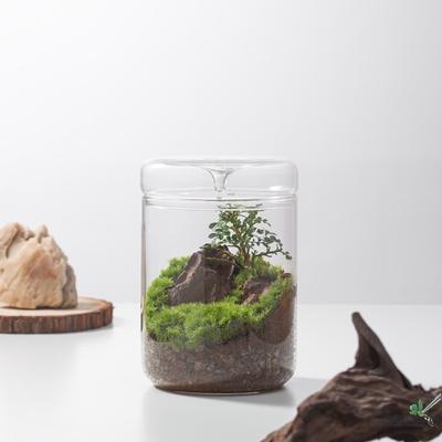 Чаша Лудзи Biolark MY-180 (180мм х 200мм)