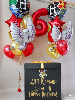 Набор Гарри Поттер Hogwarts