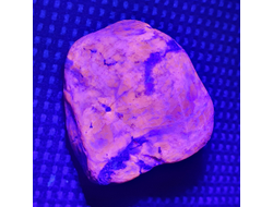 Гакманит (Содалит), светится в УФ, Россия, Мурманская обл. (32*31*24 мм, вес: 35 г) №26772