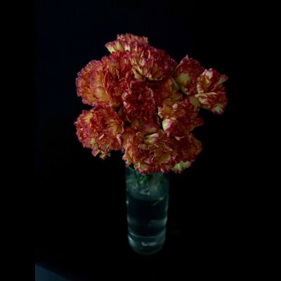 Гвоздика 15 шт