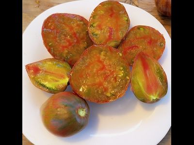 Томат Волшебная Радуга