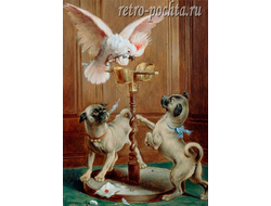 Карл Райхерт 4401