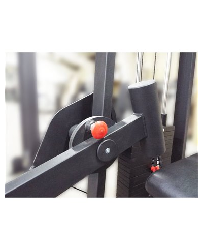 Сгибание ног лежа 100 кг AV214/80