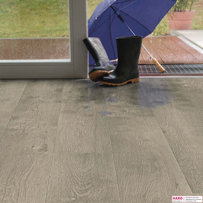 Декор ламината Haro Tritty 200 Aqua Дуб Бергамо Серебряно-Серый 541553 в интерьере прихожей