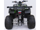 Купить Квадроцикл MOTAX ATV Grizlik 200 LUX