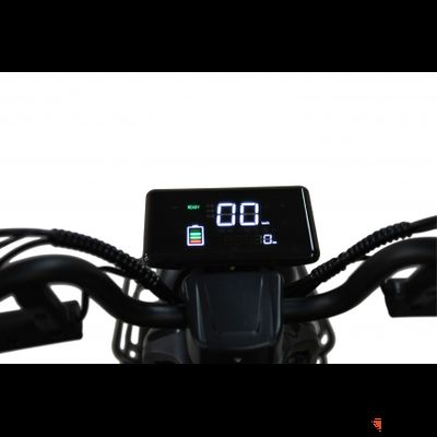 Пассажирский трицикл WHITE SIBERIA SIBTRIKE R 2000W