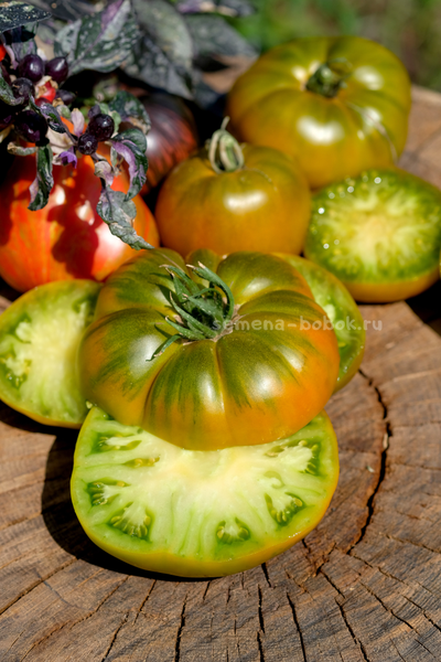 Томат Ярсон 20 (Jarson 20), 10 шт