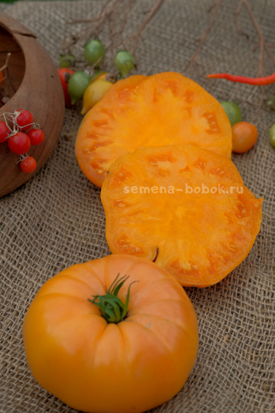 Томат Apricot Brandywine (Абрикосовый Брендивайн), 10 шт