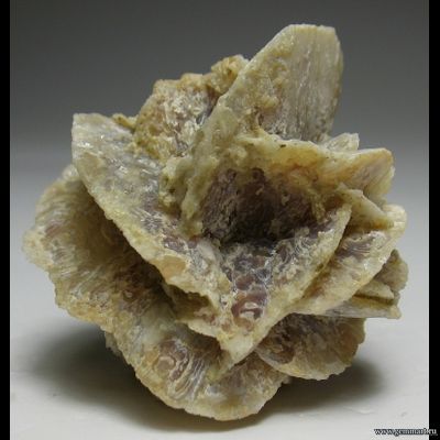 Кварц по селениту. США. 25*25*25мм.