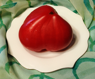 Семена томата Сладкий кекс