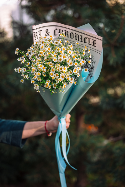 Монобукет с Матрикарией