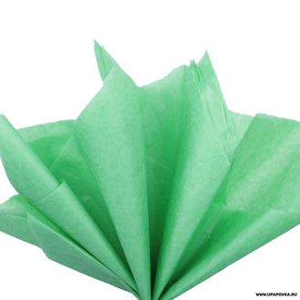 Бумага тишью 76х50 см 10 листов Светло-зелёный
