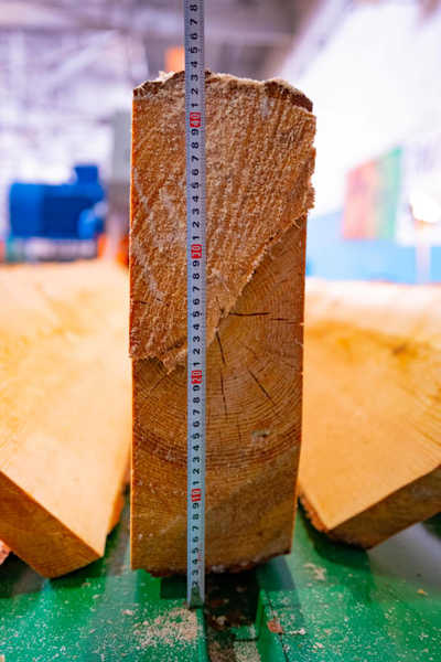 Промышленный брусовальный станок Триумф 16П480/Двухвальный  бревнопильный станок «Триумф-СБЦ480», от