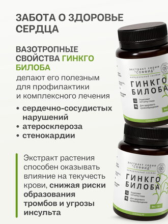 Экстракт гинкго билоба для внутреннего применения 100 гр.