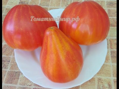 Томат Помаранч (Pomaranch)