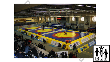 Помост для борцовских ковров