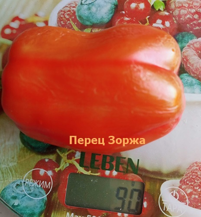 Перец сладкий Зоржа