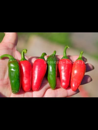 Перец острый Jalapeno Mini (Халапеньо Мини), 10 шт