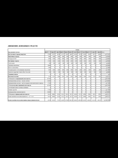 Уникальный расчет финансового план для вашего бизнес-плана под социальный контракт