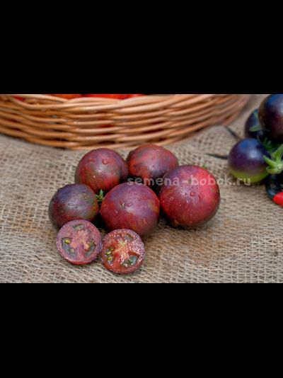 Томат Dwarf Gondwana Lava (Гном Гондвана Лава), 10 шт