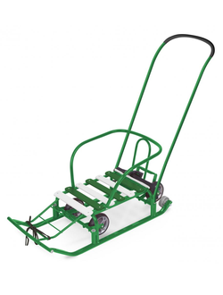 Санки детские NIKA Kids «Тимка 5 универсал+» (арт. Т5У+) зеленый