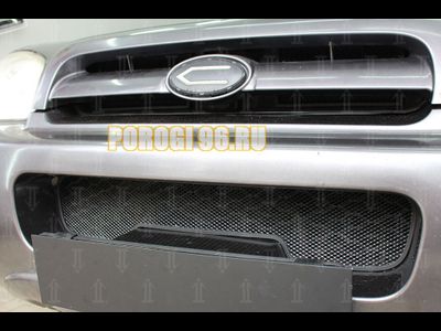 Защита радиатора Hyundai Santa Fe 2000-2006 (2 части) black верх