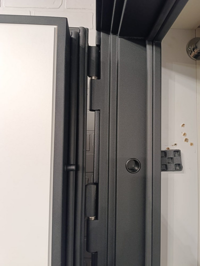 Стальная дверь   Plata