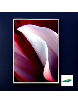 Постер «Цвета страсти». Коллекция «Цвета в цветах».