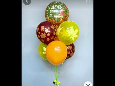 День знаний № 7