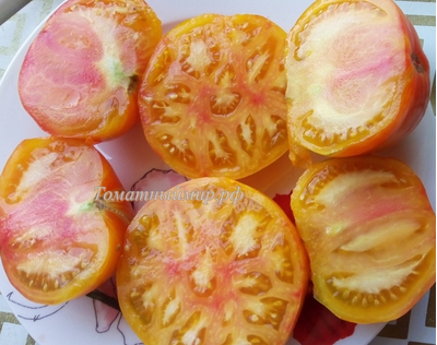 Томат Король красоты (Beauty King)