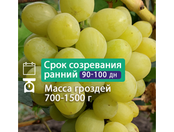 Валек