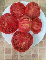 Гном Кардинал Маура
