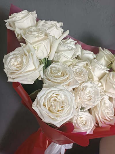 Монобукет Роза Эквадор "Плайя Бланк" 25шт 70см