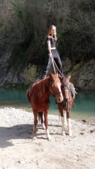 Конные прогулки в Сочи