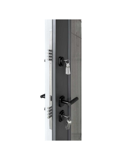 Входная Дверь AG 6149 Термо AL Двери Регионов с фрамугами